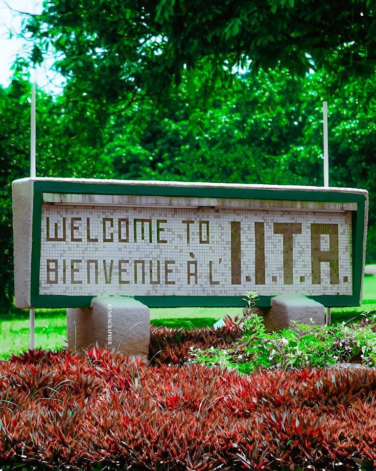 IITA